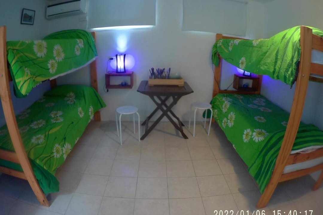 Photo of Others in Puerto Piramides