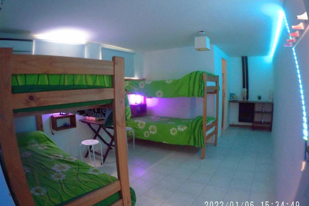 Photo of Others in Puerto Piramides