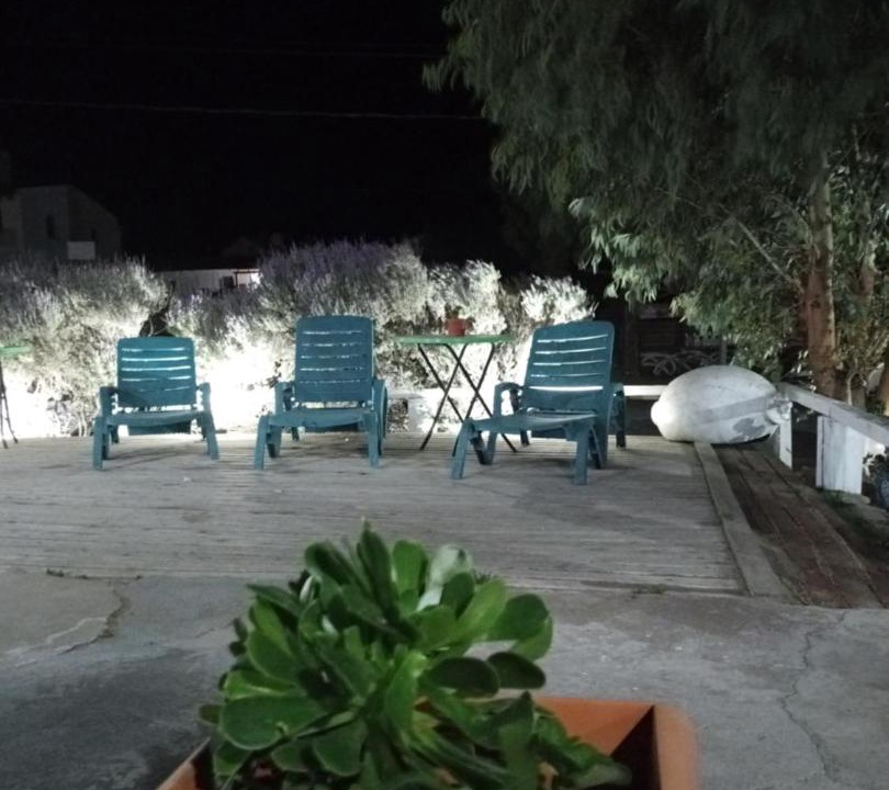 Photo of Others in Puerto Piramides