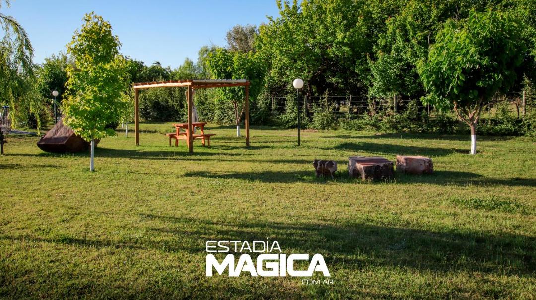 Photo of Others in Cuadro Nacional