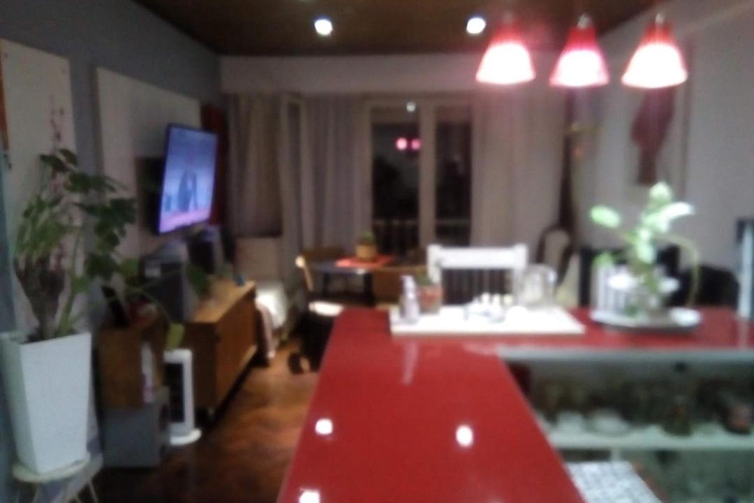 Photo of Others in Don Torcuato