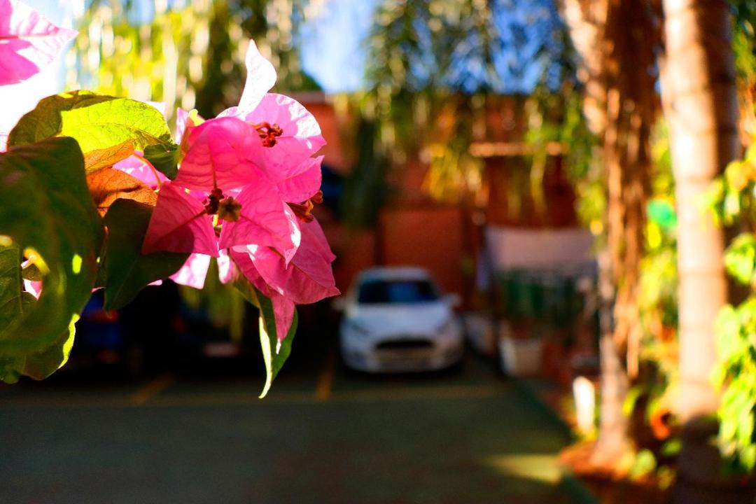 Photo of Others in Puerto Iguazu