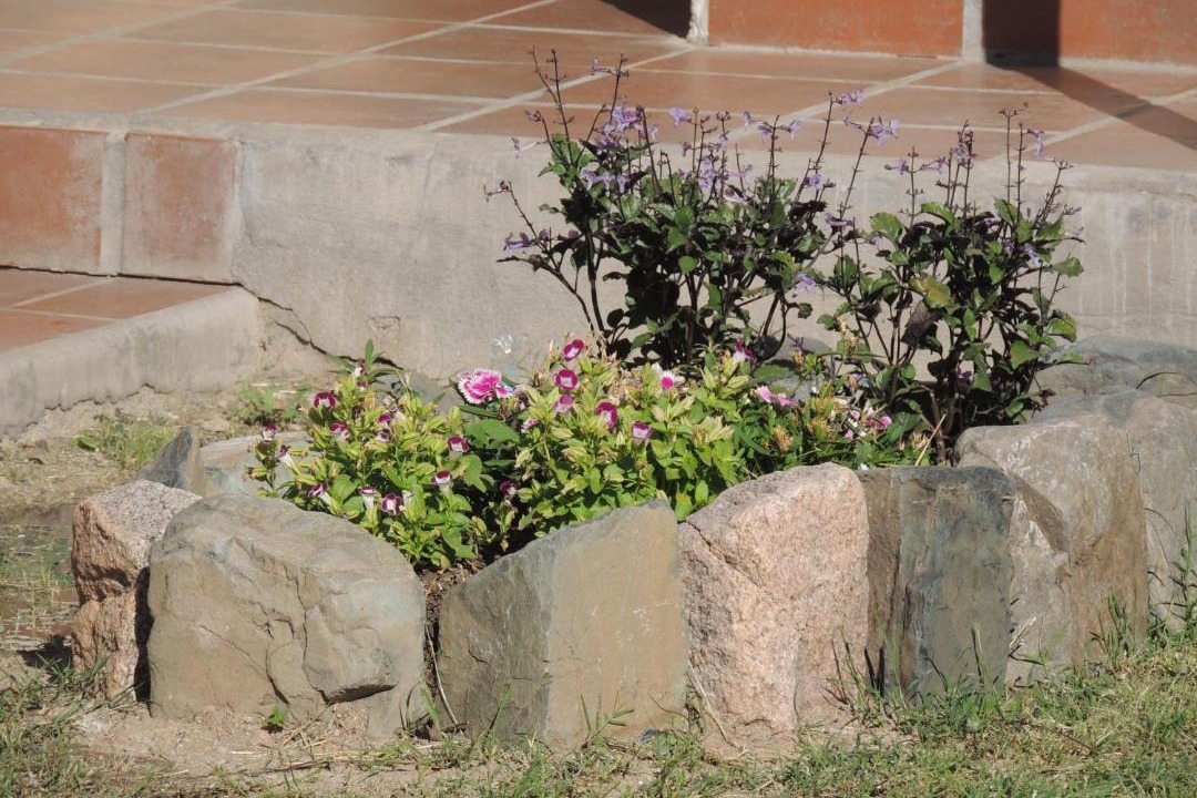 Photo of Others in Molinos