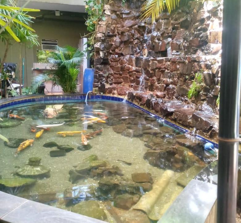 Photo of Others in Jardinopolis