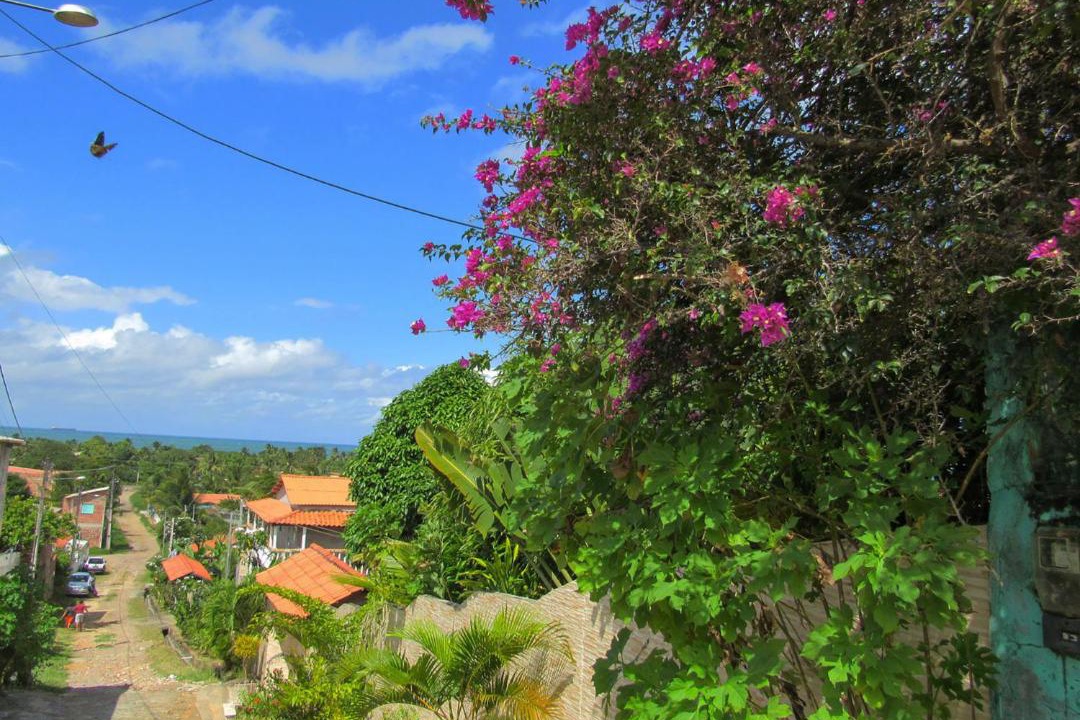 Photo of Others in Vera Cruz