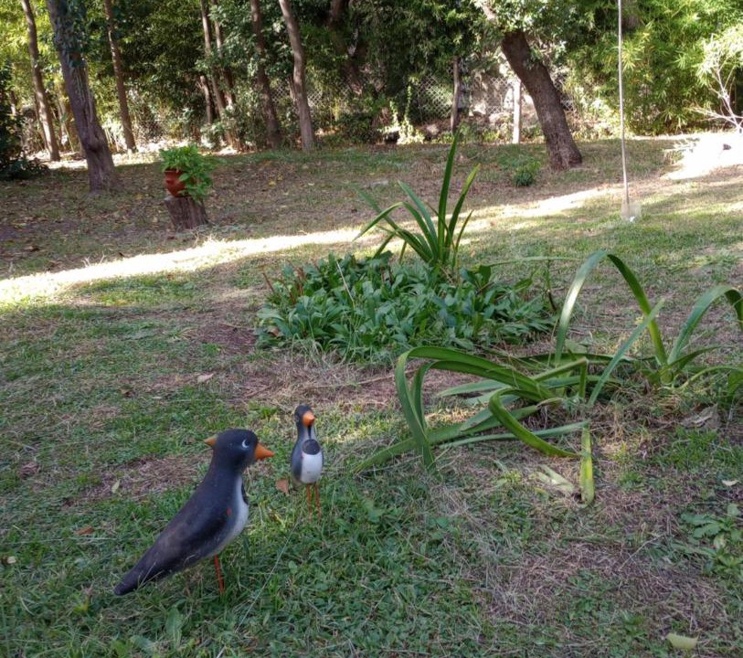 Photo of Outdoor in San Javier Department