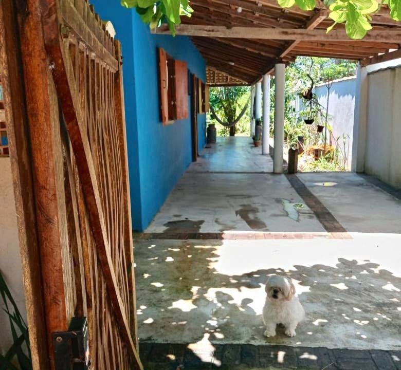 Photo of Others in Itaunas