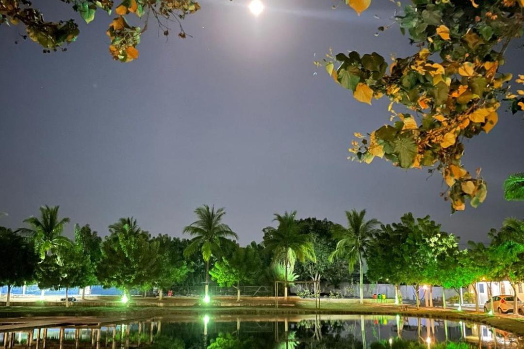 Photo of Outdoor in Joao Camara