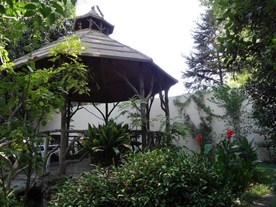 Photo of Others in Godoy Cruz