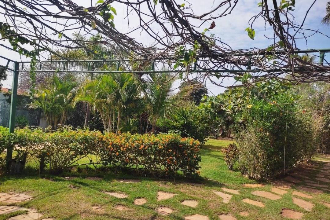 Photo of Others in Sobradinho II