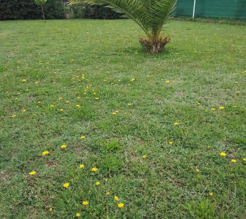 Photo of Outdoor in San Rafael