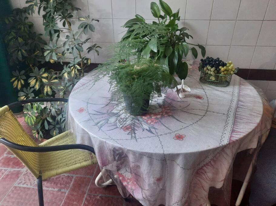 Photo of Patio Balcony in Godoy Cruz