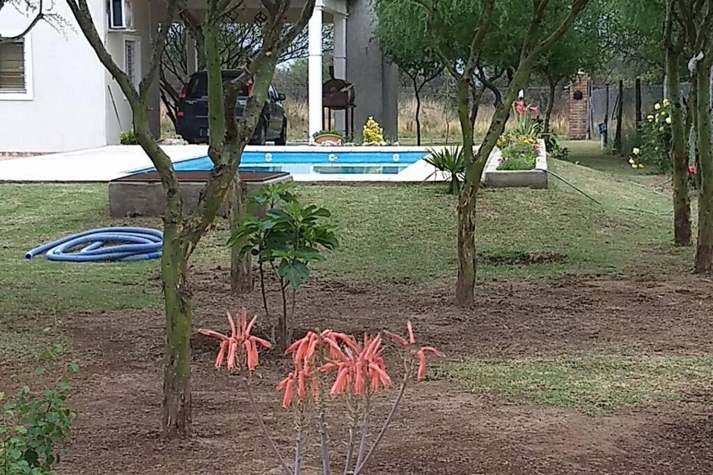 Photo of Outdoor in San Javier Department