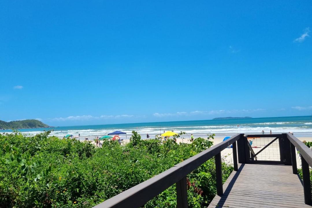 Photo of Others in Mariscal