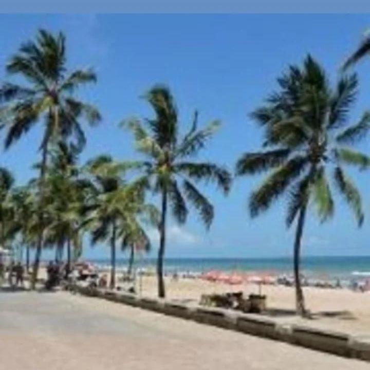 Photo of Others in Pina