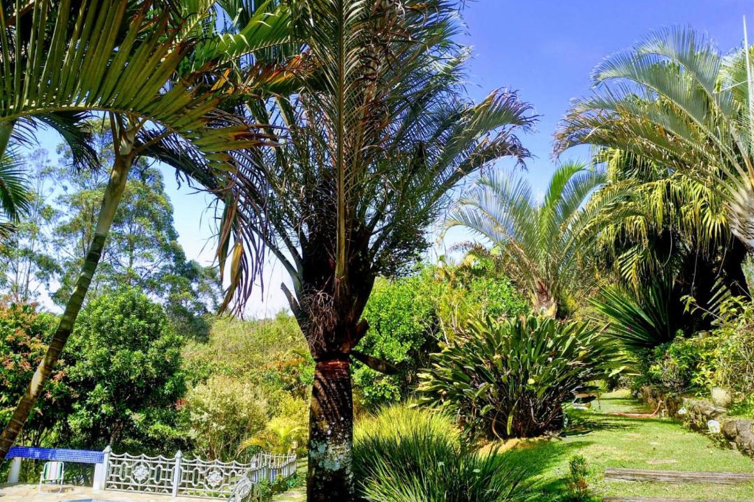 Photo of Outdoor in Mairipora