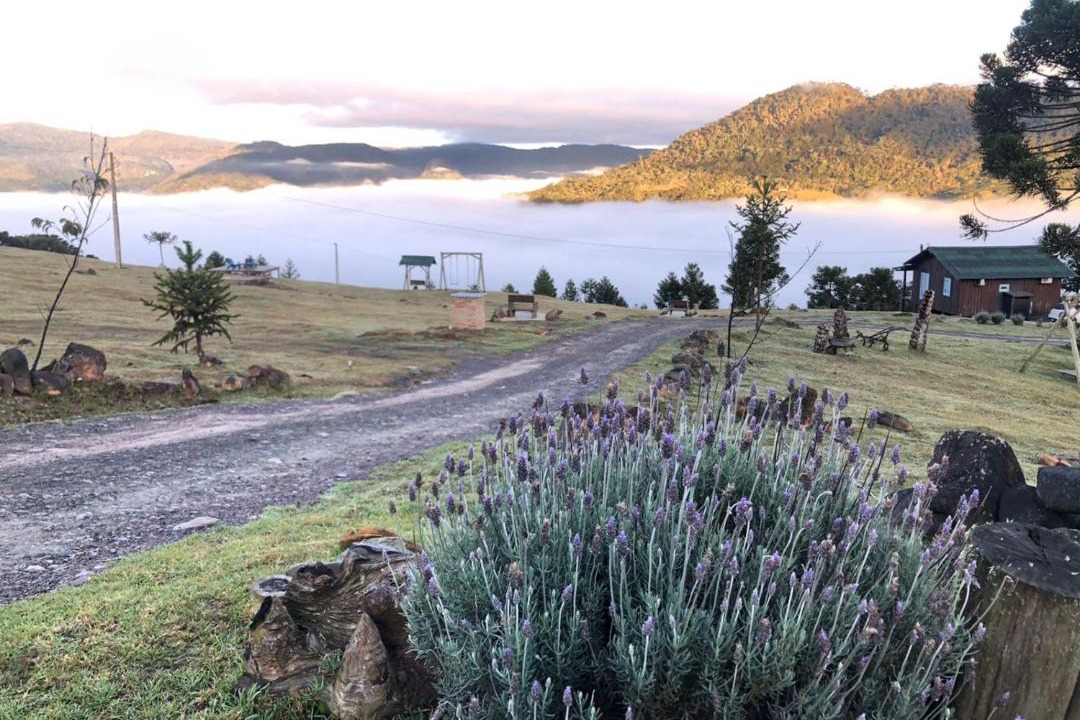 Photo of Others in Urubici