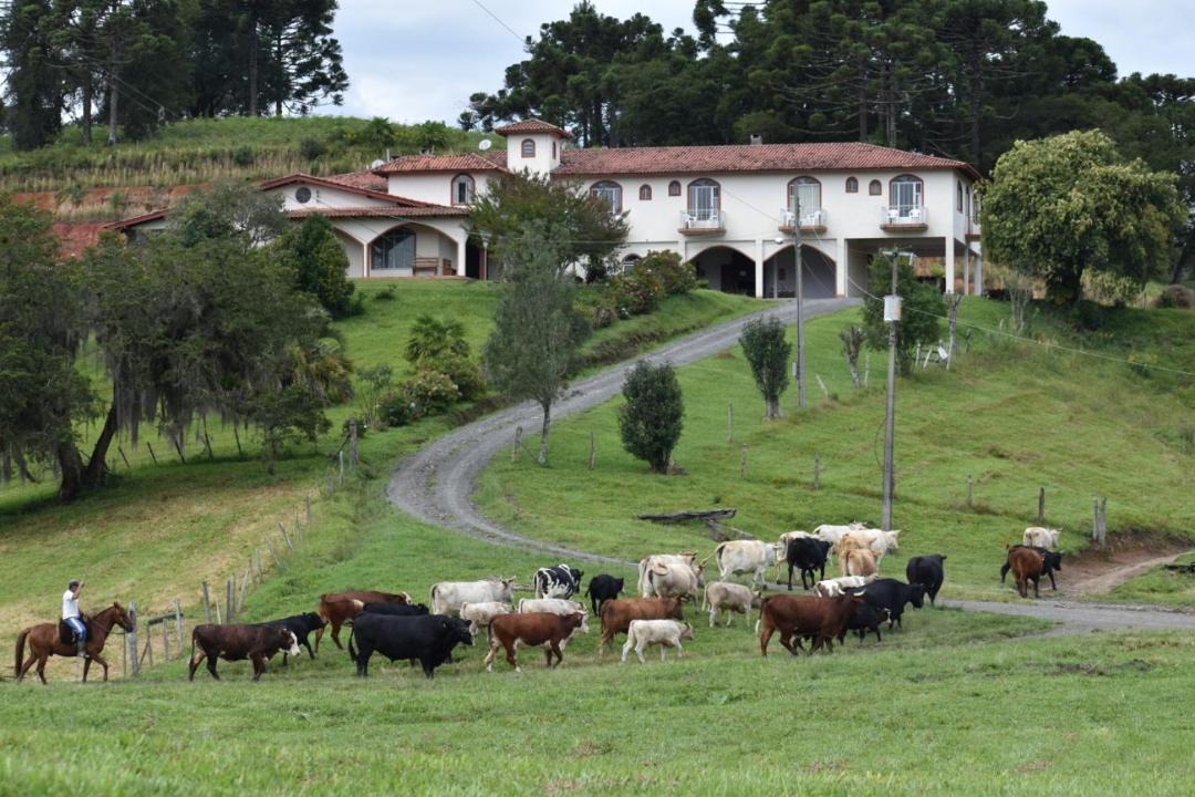 Photo of Others in Urubici