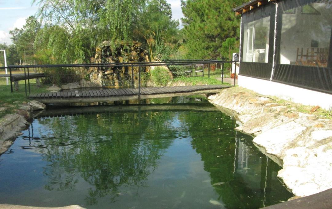 Photo of Others in Villa Zorraquin