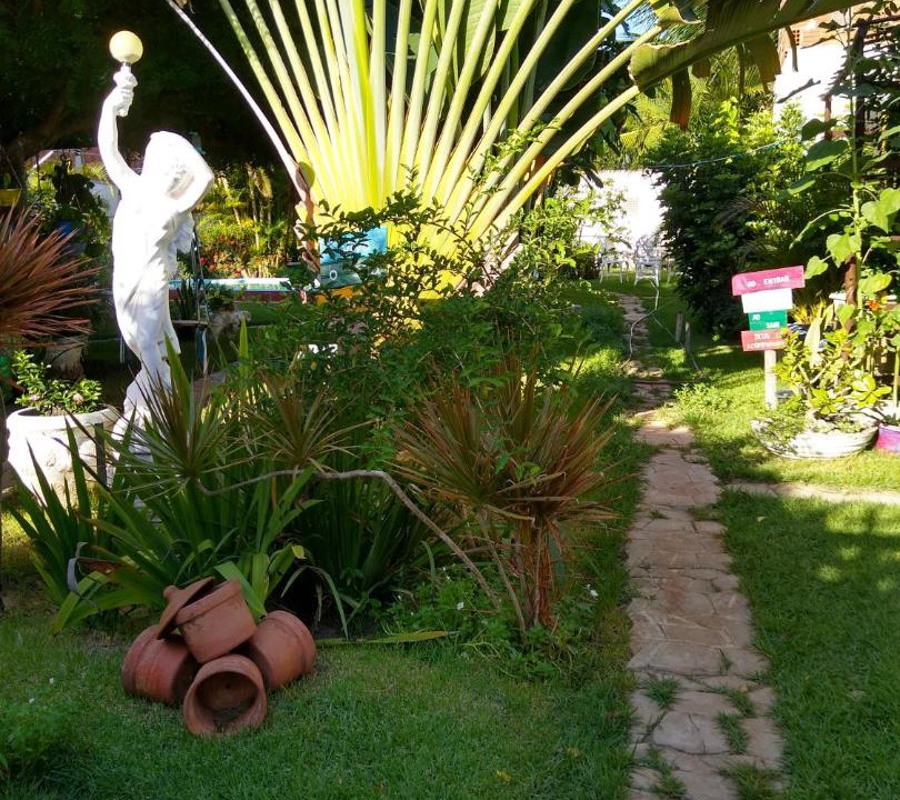 Photo of Others in Sao Miguel de Touros