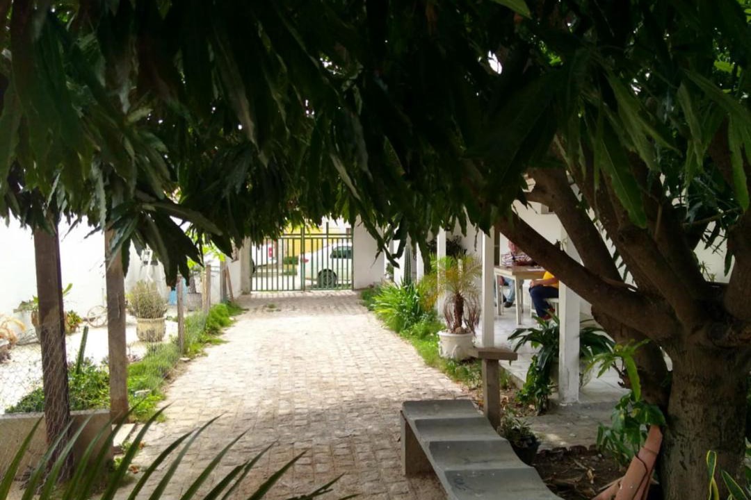 Photo of Others in Salgueiro