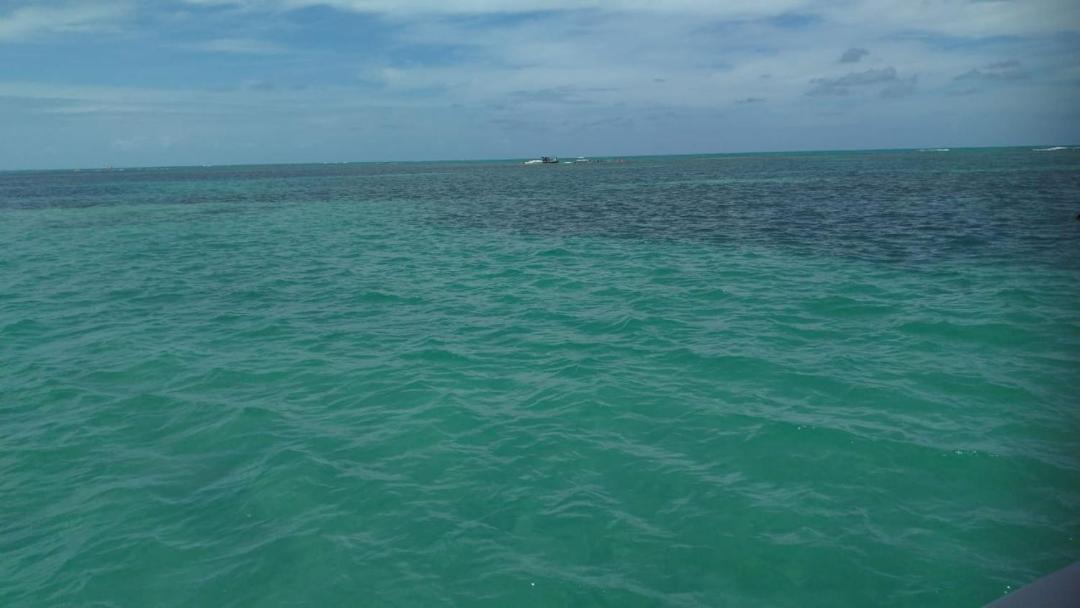Photo of Others in Ponta do Seixas