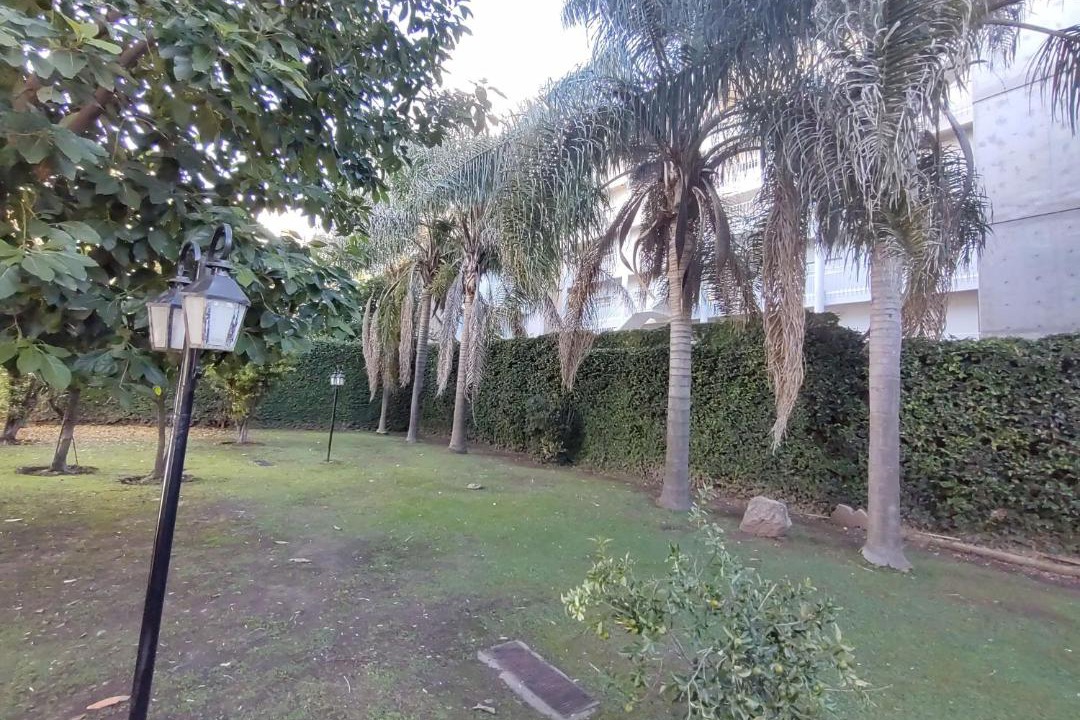 Photo of Others in Belen de Escobar