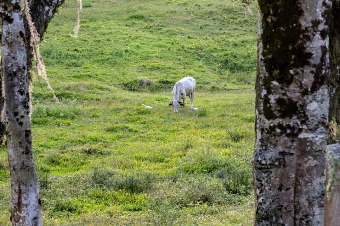 Photo of Others in Mato Queimado