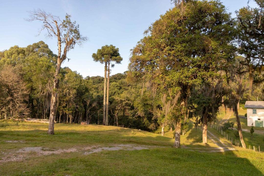Photo of Others in Mato Queimado