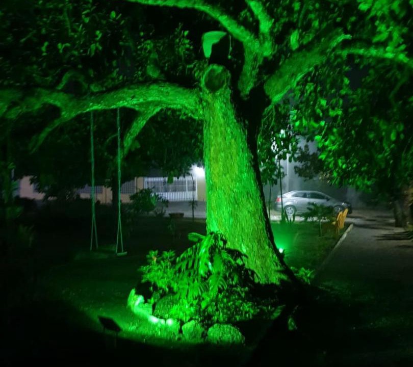 Photo of Others in Encruzilhada de Sao Joao