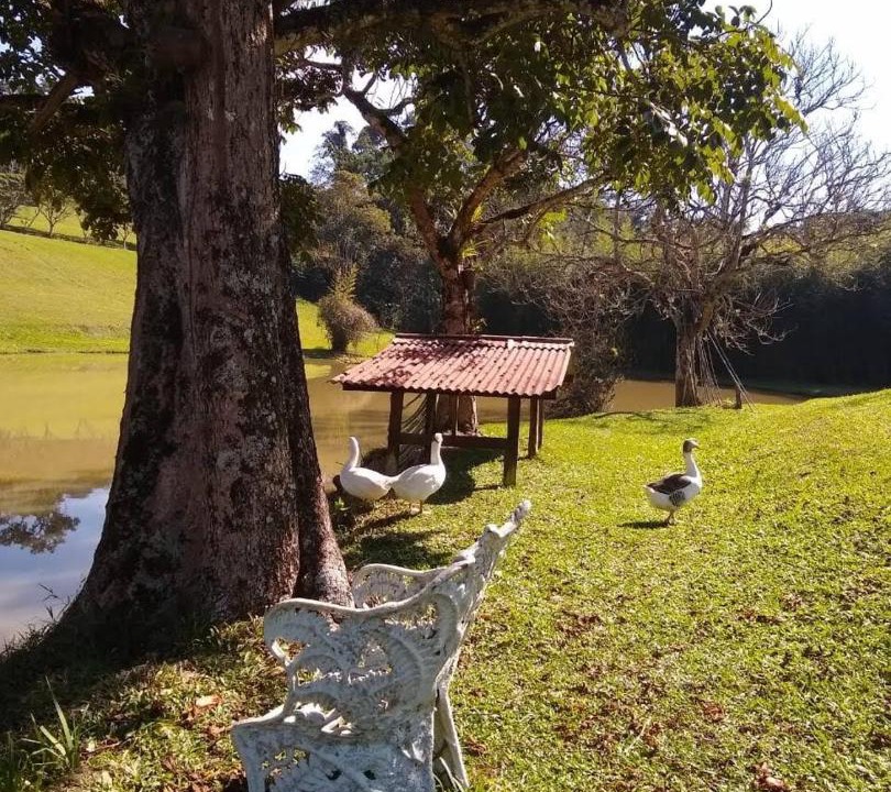 Photo of Others in Guararema