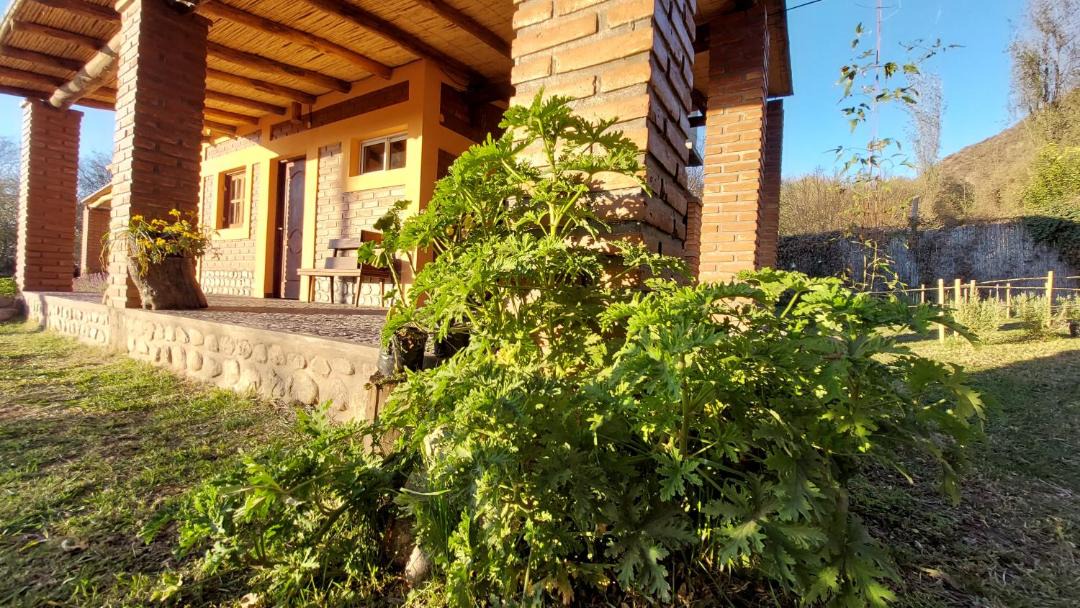 Photo of Others in Province of Catamarca