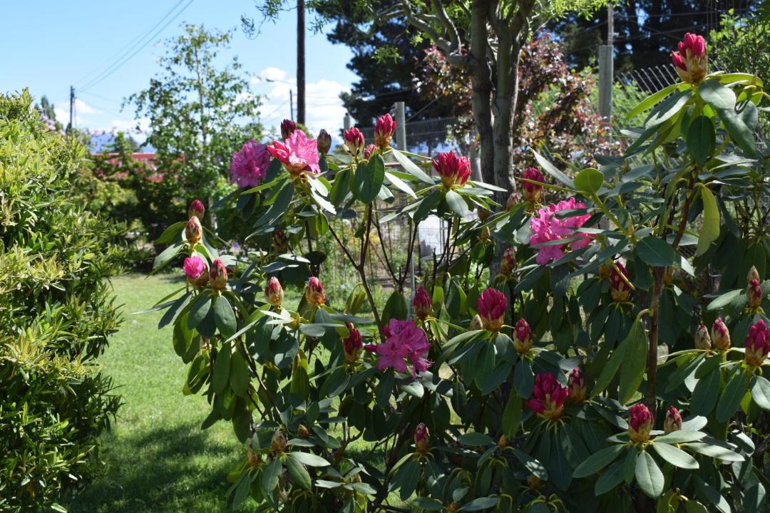 Photo of Others in Dina Huapi