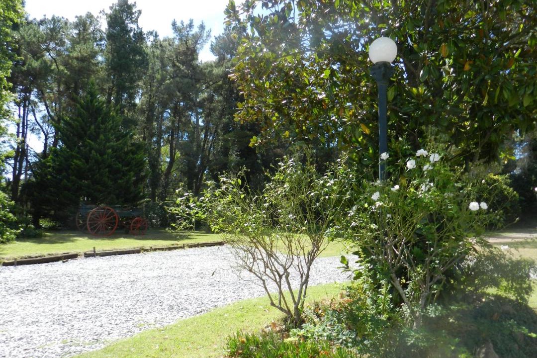 Photo of Others in Tandil
