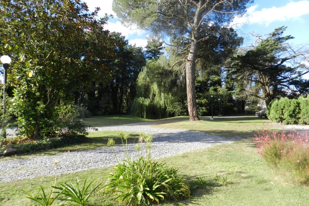 Photo of Others in Tandil