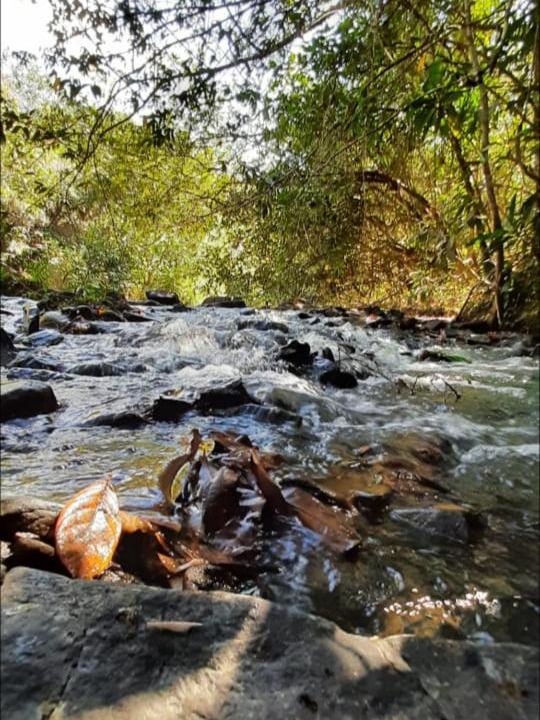 Photo of Others in Pirenopolis