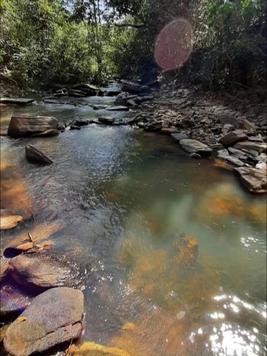 Photo of Others in Pirenopolis