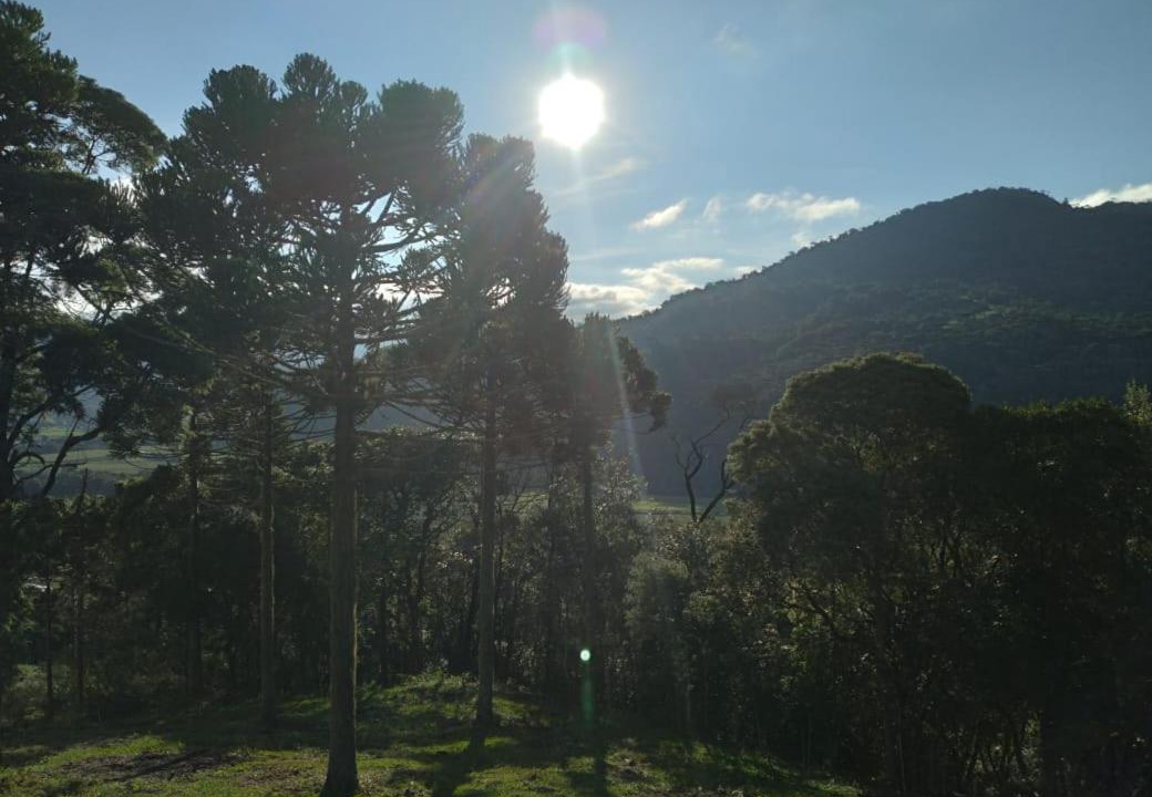 Photo of Others in Urubici