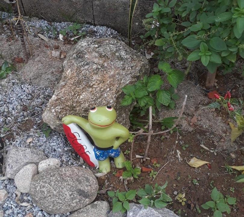 Photo of Outdoor in Maranduba