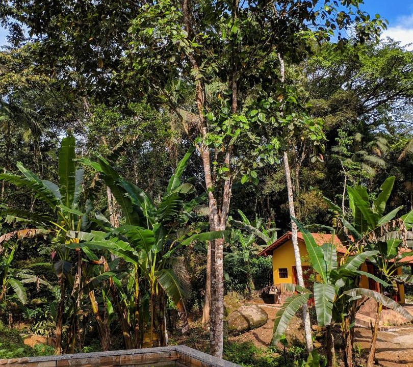 Photo of Outdoor in Picinguaba