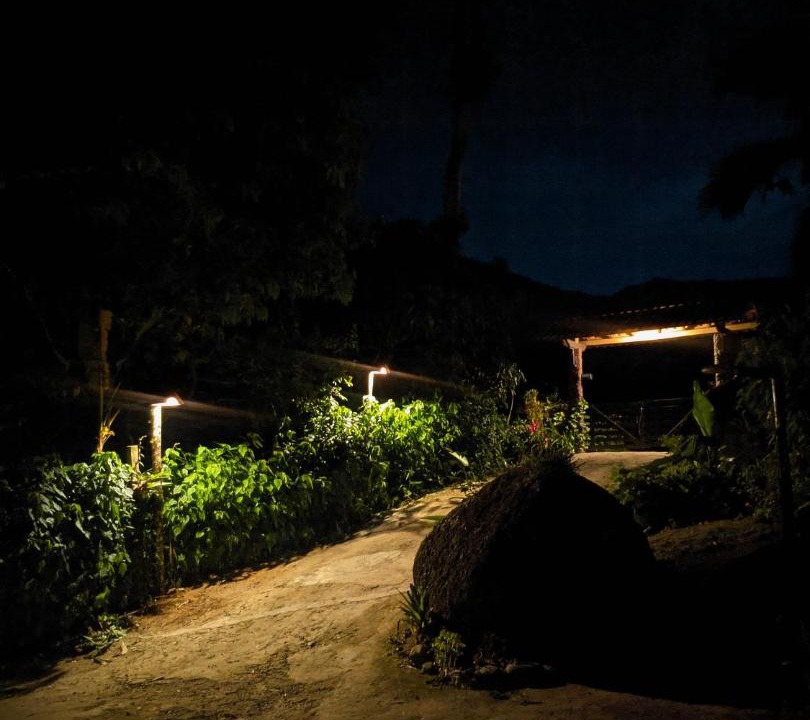 Photo of Others in Picinguaba