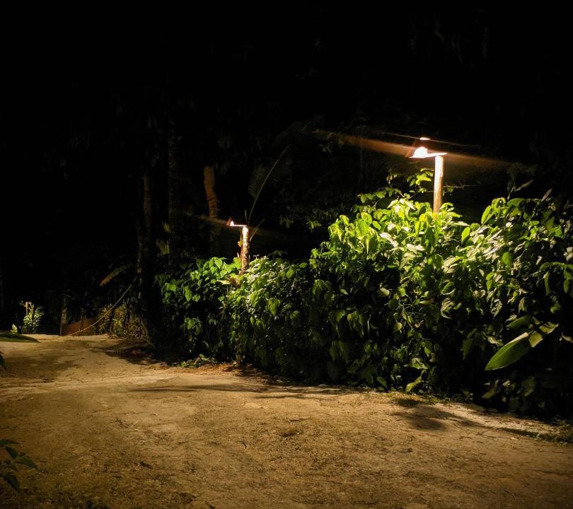 Photo of Outdoor in Picinguaba