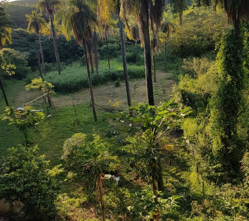 Photo of Others in Santana do Riacho