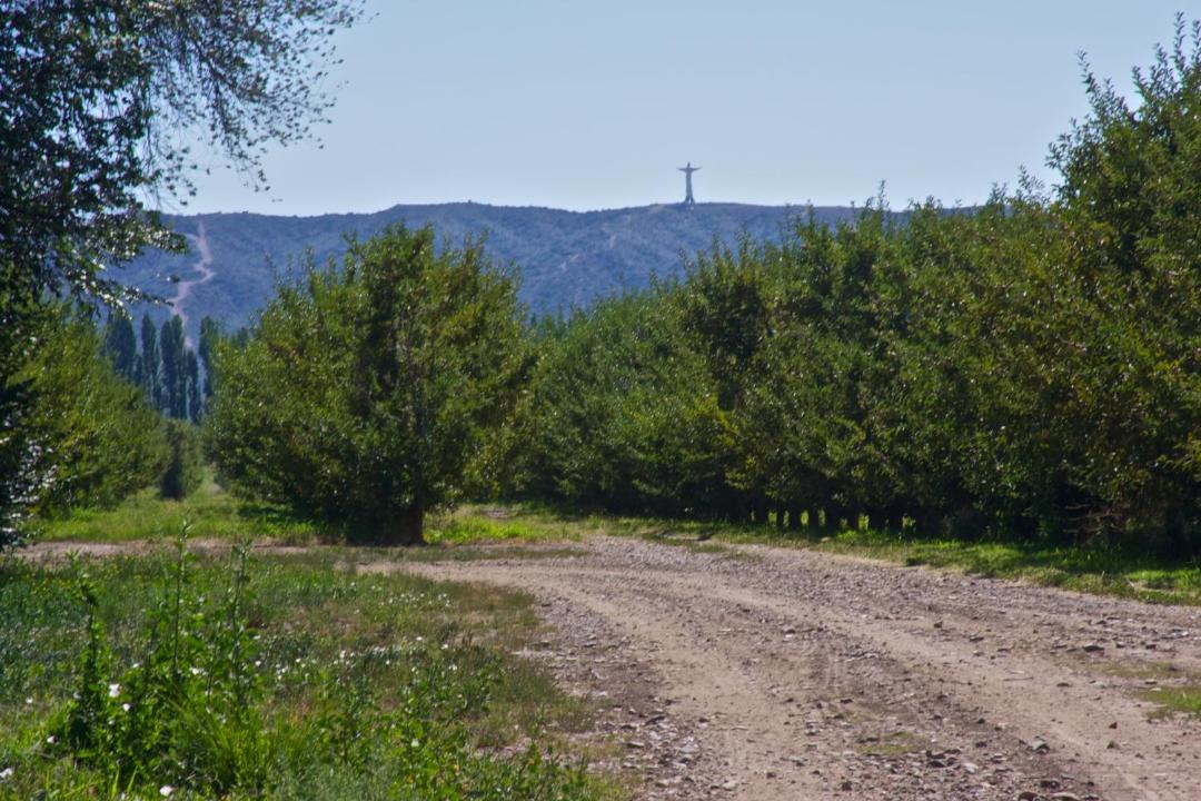 Photo of Others in Tupungato