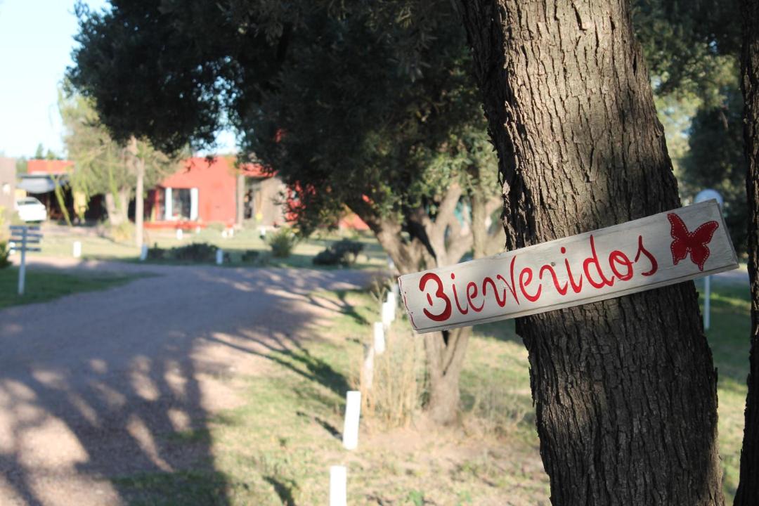 Photo of Others in San Rafael