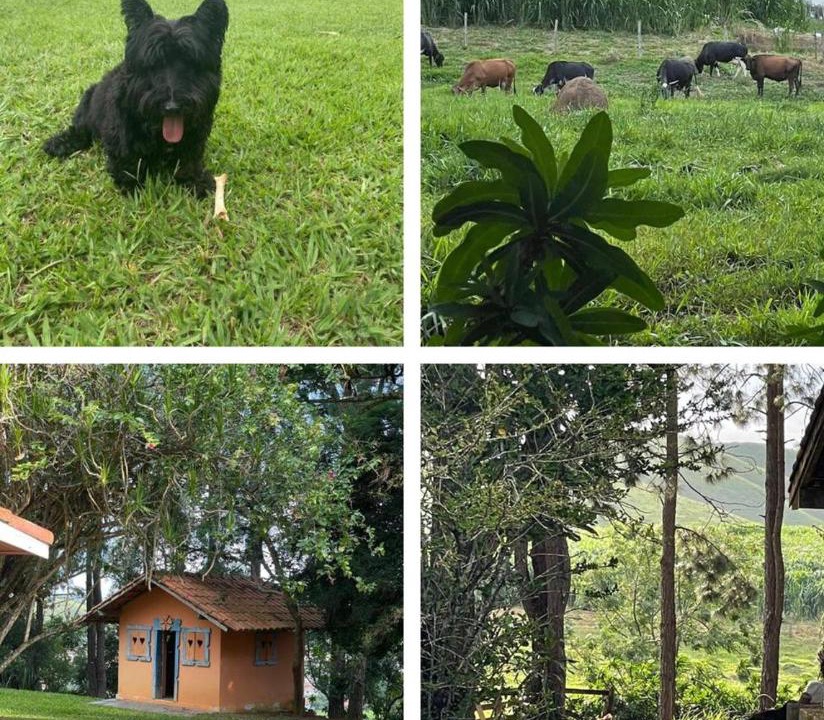 Photo of Others in Sao Jose dos Campos