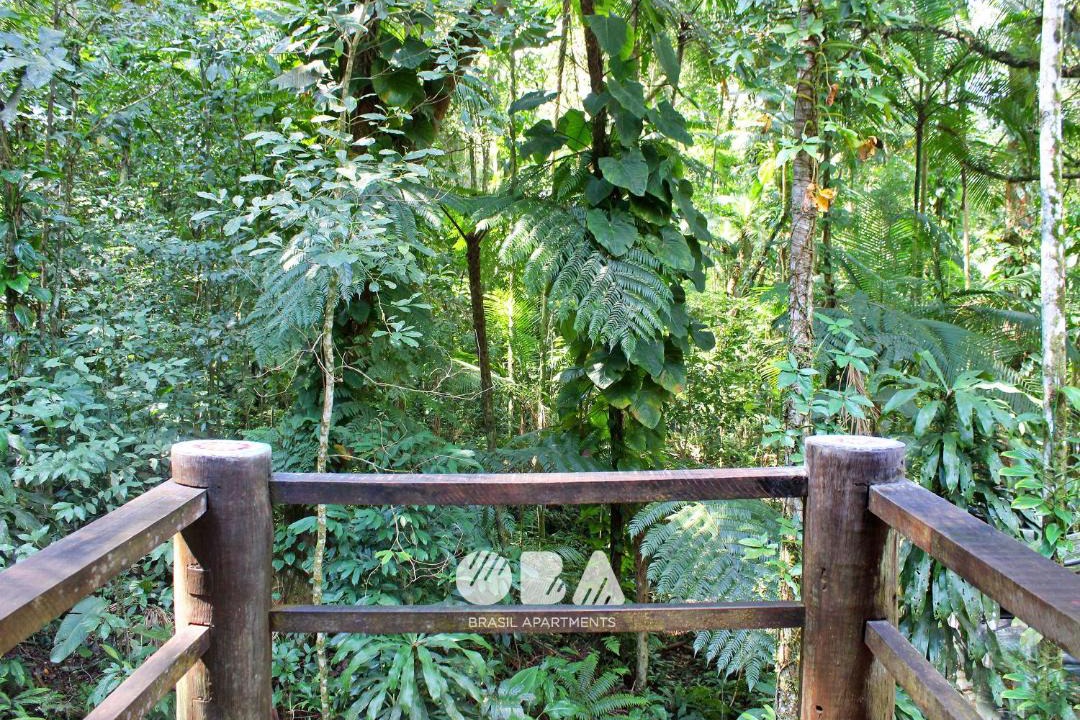 Photo of Others in Camburi