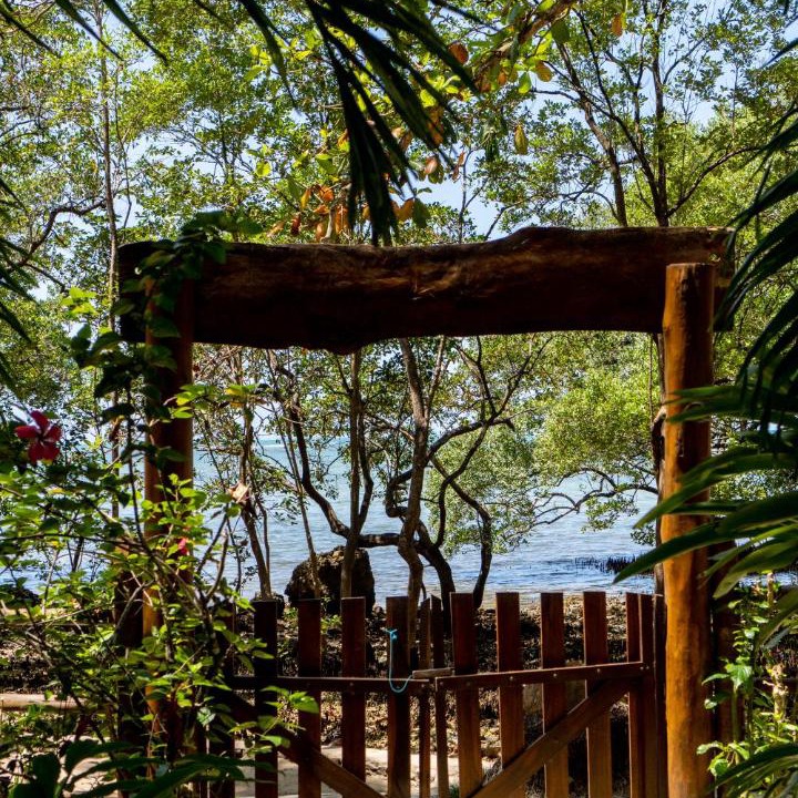 Photo of Others in Ilha de Boipeba