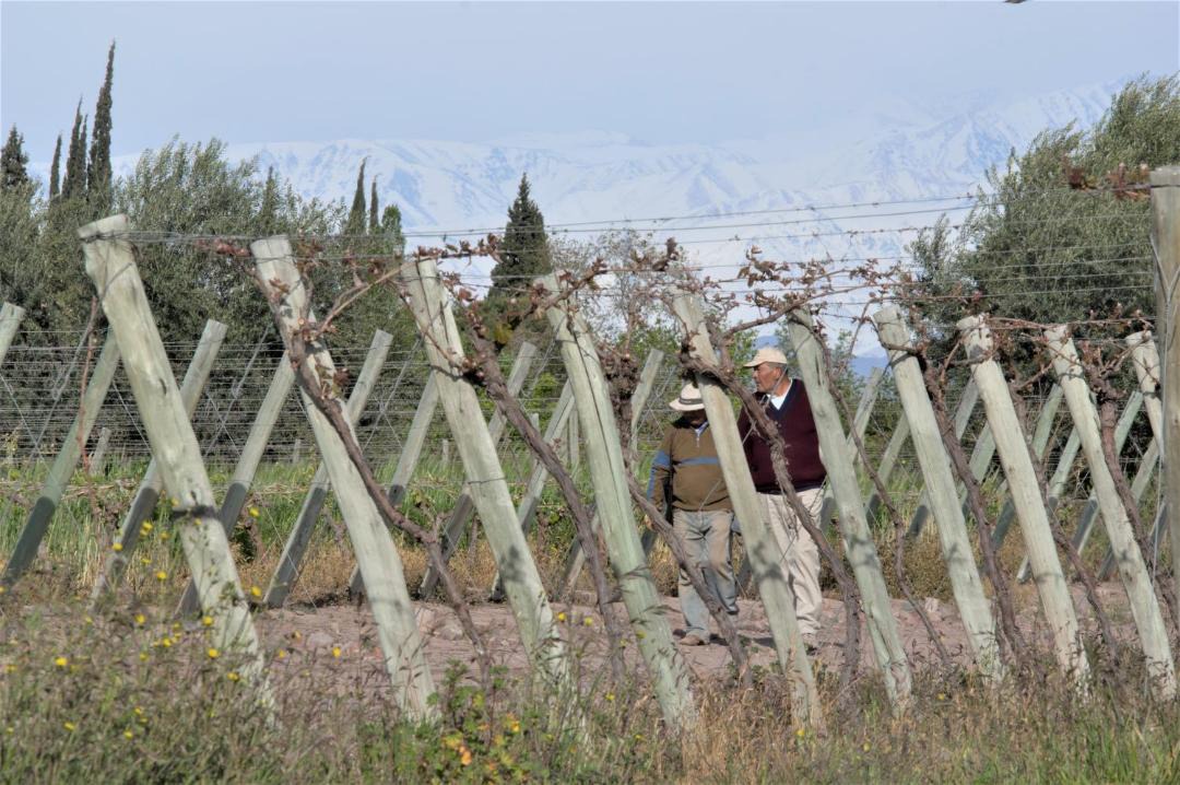 Photo of Others in Maipu
