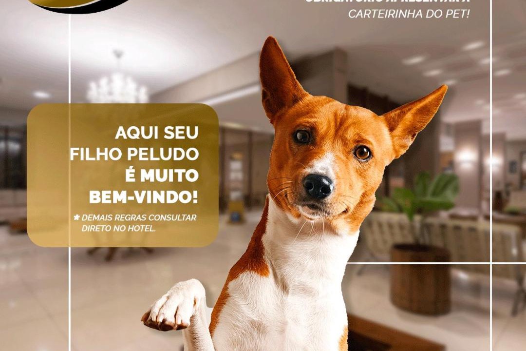 Photo of Others in Belo Horizonte